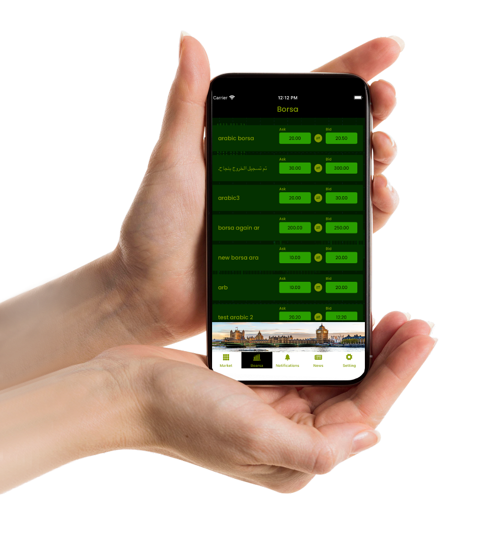 satborsa project planning